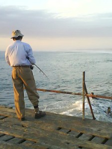 3292696029_4c9335d32e[1]